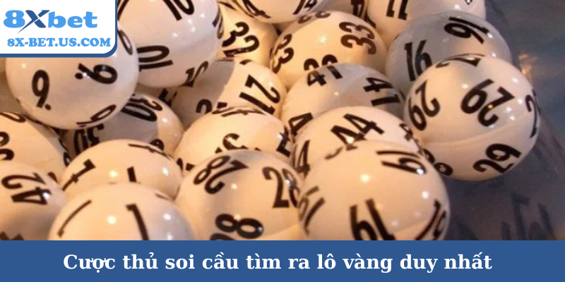 Cược thủ soi cầu tìm ra lô vàng duy nhất