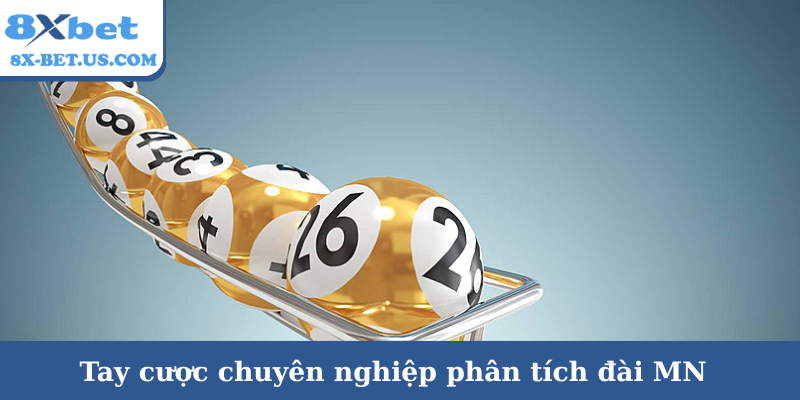 Tay cược chuyên nghiệp phân tích đài MN