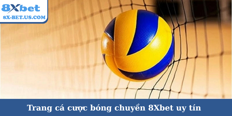 Trang cá cược bóng chuyền 8Xbet uy tín